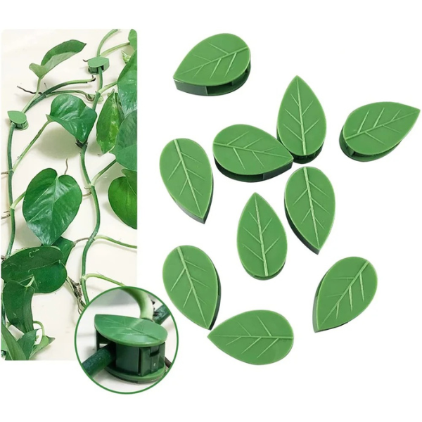 LEAFIX - FIXATOARE PENTRU PLANTE (10 BUC.)