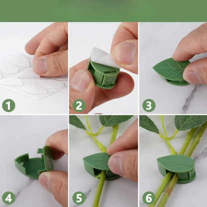 LEAFIX - FIXATOARE PENTRU PLANTE (10 BUC.)