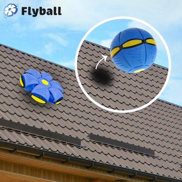 FLYBALL™ – MINGEA ZBURĂTOARE FRISBEE 1 + 1 GRATIS