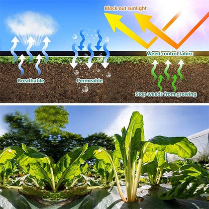 VEGMESH™ - FOLIE PENTRU MULCIRE (1x10m)