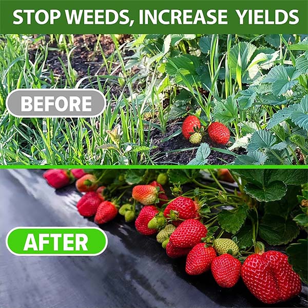 VEGMESH™ - FOLIE PENTRU MULCIRE (1x10m)