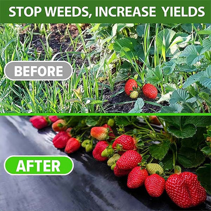 VEGMESH™ - FOLIE PENTRU MULCIRE (1x10m)