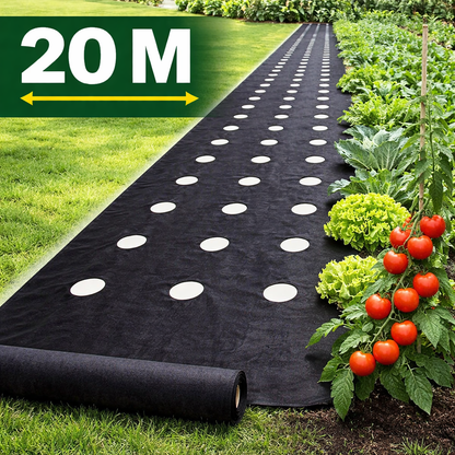 VEGMESH™ - FOLIE PENTRU MULCIRE (1x10m)