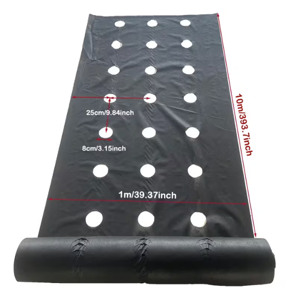 VEGMESH™ - FOLIE PENTRU MULCIRE (1x10m)