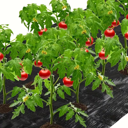 VEGMESH™ - FOLIE PENTRU MULCIRE (1x10m)