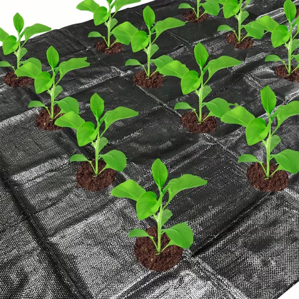 VEGMESH™ - FOLIE PENTRU MULCIRE (1x10m)